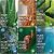 TOSOWOONG – Pure Green Tea Mask Pack 10pcs 10 sheets